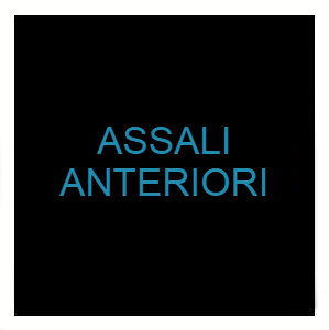 ASSALI ANTERIORI - FRONT AXLES